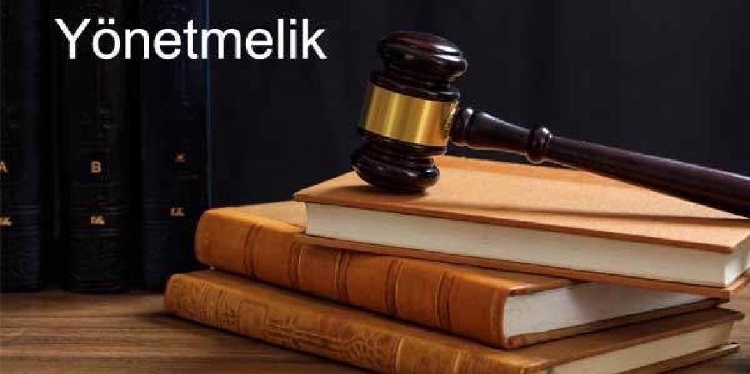 ENGELLİ BİREYLERE YÖNELİK SINAV UYGULAMALARINDA VE ENGELLİ KONTENJANINDA ARANACAK SAĞLIK ŞARTLARINA DAİR YÖNETMELİK